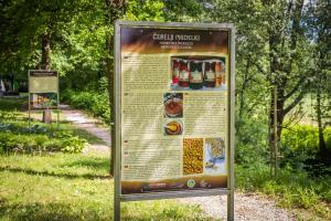 Čebelarska pot_park pod Moćilnikom_Karin Božič_m